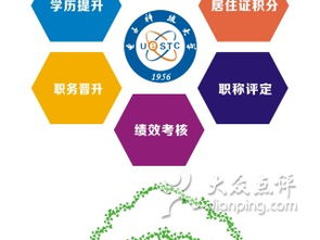 电子科技大学网络教育学院上海学习中心网络技术服务